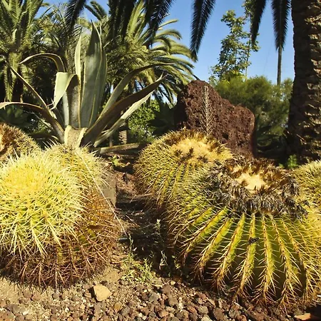 Tocama Nyaraló
