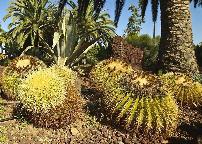 Tocama Дом отдыха