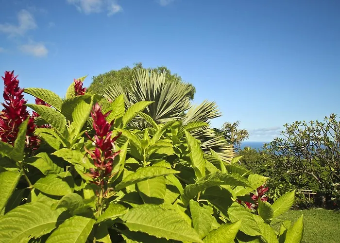 Дом отдыха Tocama