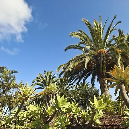 Tocama Dom wakacyjny La Vera-Carril